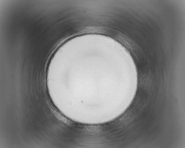 X0000082150836200702162206