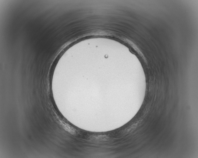 X0000082150837200702162206