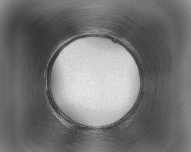 X0000082150838200702162206