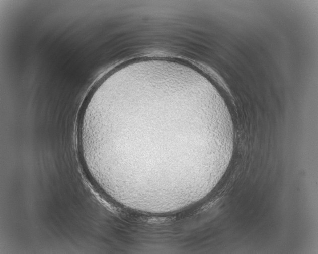 X0000082150839200702162206