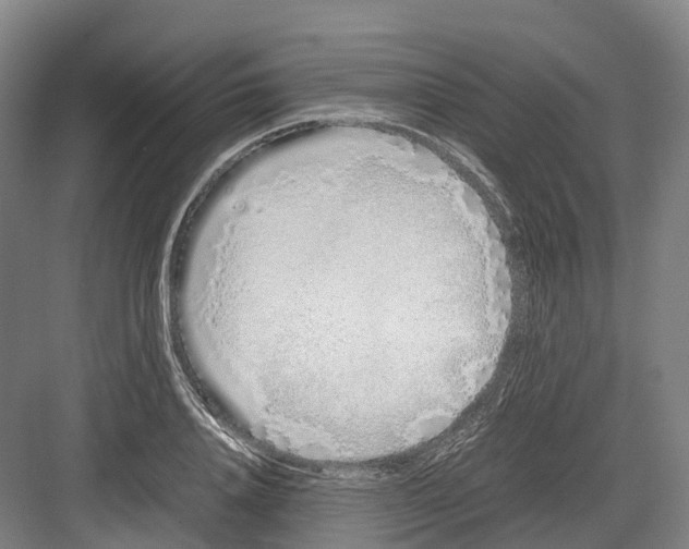 X0000082150840200702162206