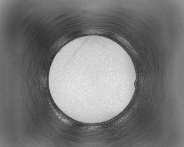 X0000082150841200702162206