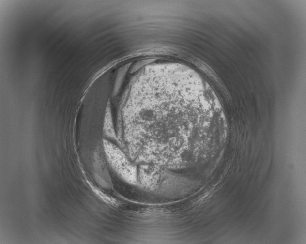 X0000082150842200702162206