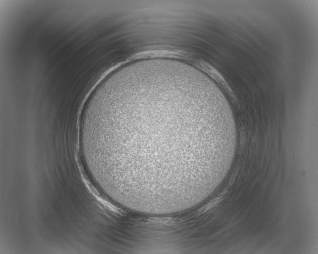 X0000082150844200702162206