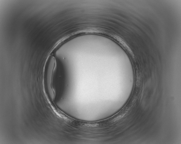 X0000082150845200702162206