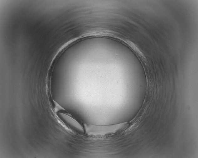 X0000082150846200702162206