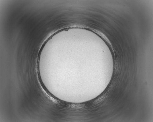 X0000082150847200702162206