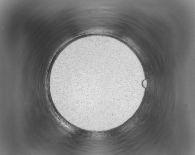 X0000082150848200702162206