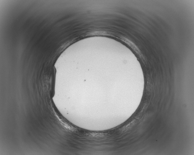 X0000082150849200702162207