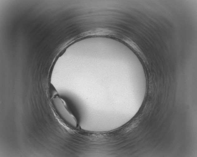 X0000082150850200702162207