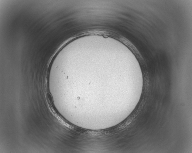 X0000082150852200702162207