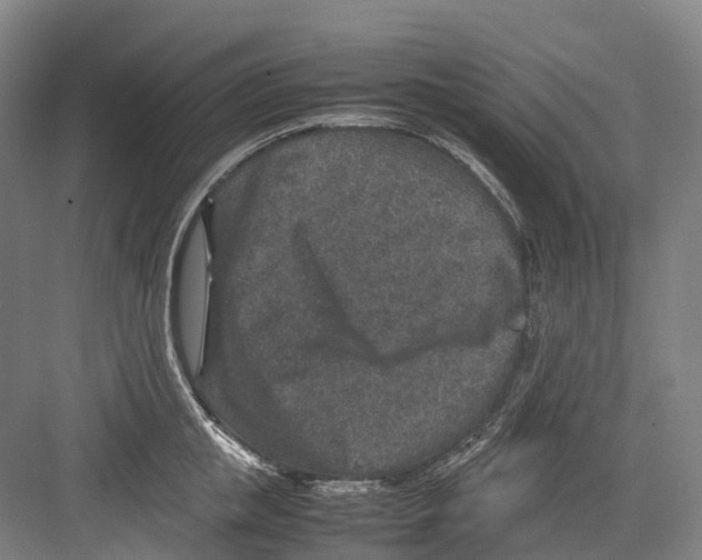 X0000082150853200702162207