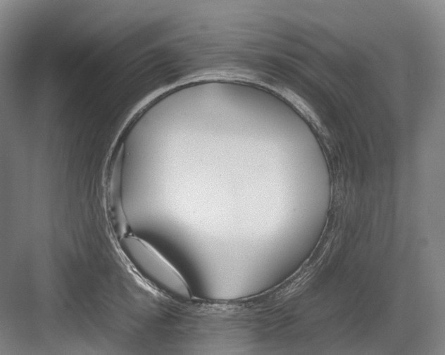 X0000082150854200702162207