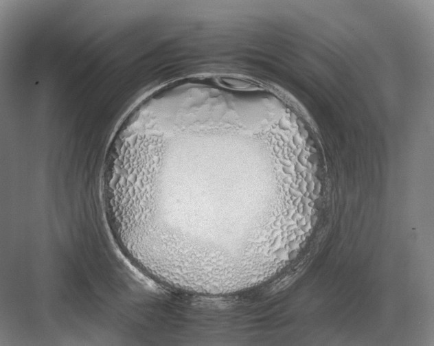 X0000082150855200702162207