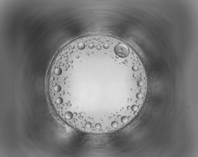 X0000082150856200702162207