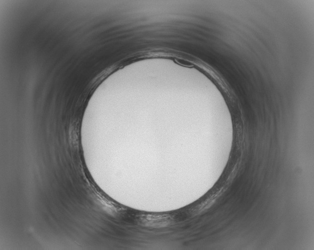 X0000082150857200702162207