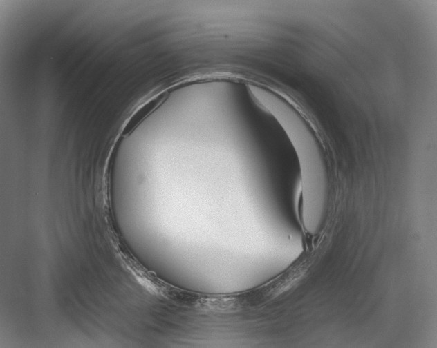 X0000082150858200702162207