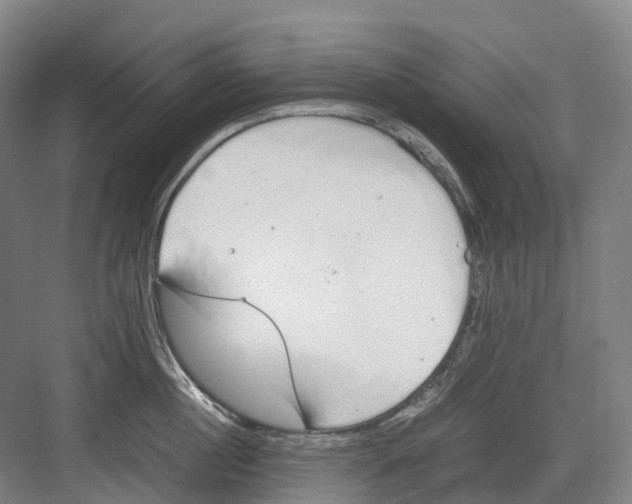 X0000082150860200702162207