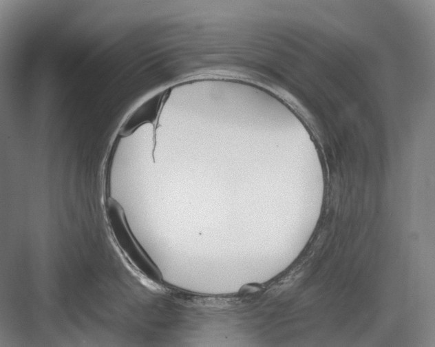 X0000082150862200702162207