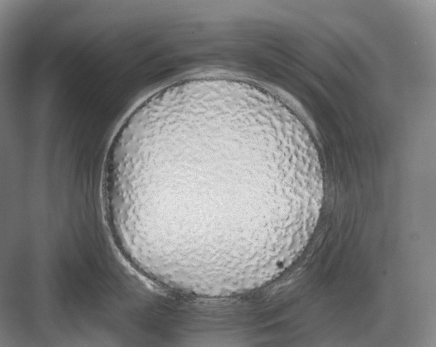 X0000082150863200702162207