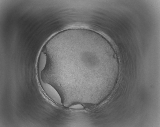 X0000082150864200702162207