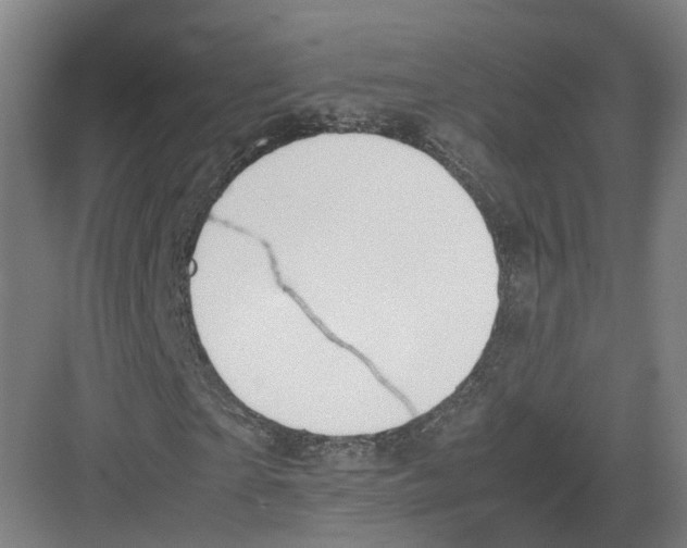 X0000082150865200702162206