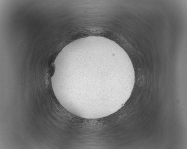 X0000082150866200702162206