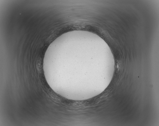 X0000082150867200702162206