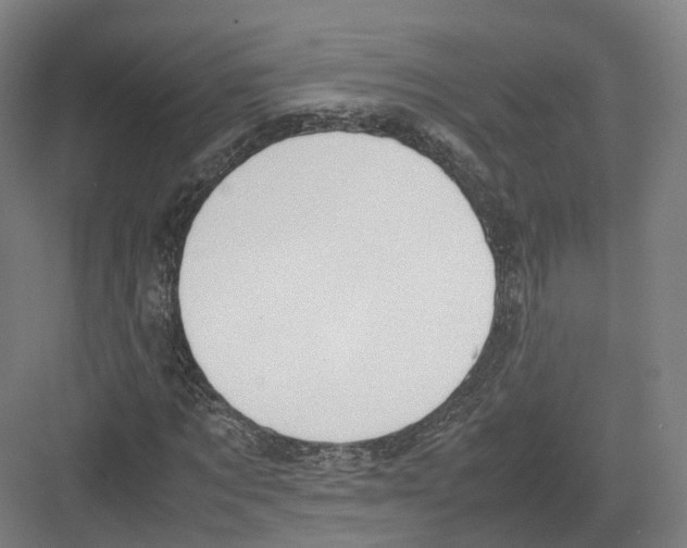 X0000082150869200702162206