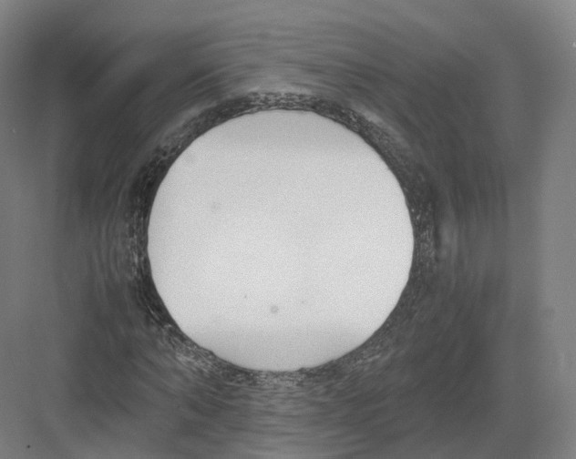 X0000082150870200702162206