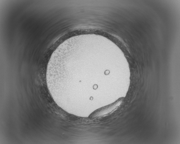 X0000082150871200702162206