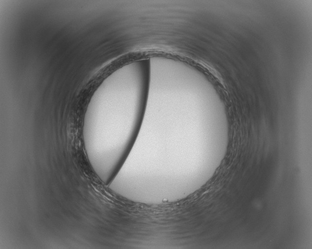 X0000082150872200702162206