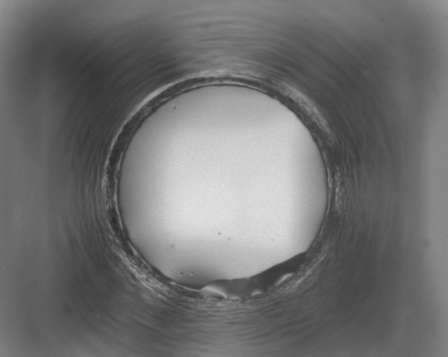 X0000082150876200702162206