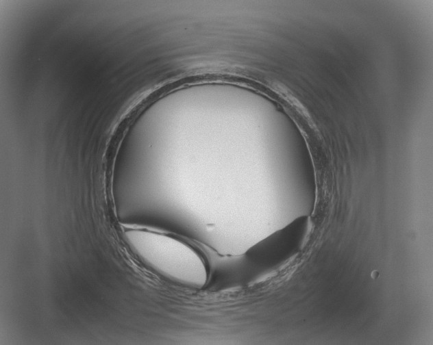 X0000082150877200702162206