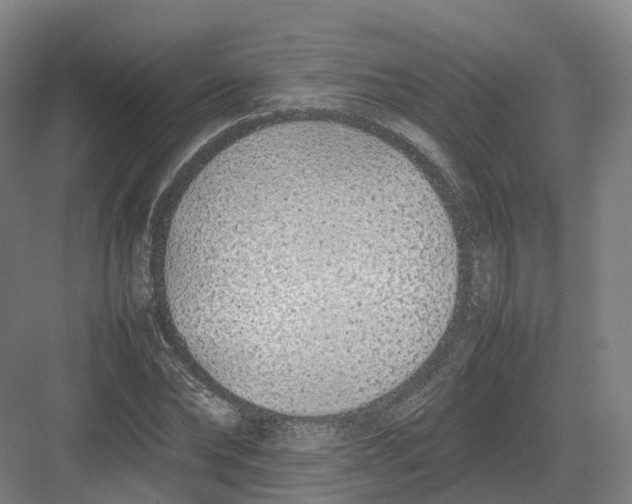 X0000082150878200702162206