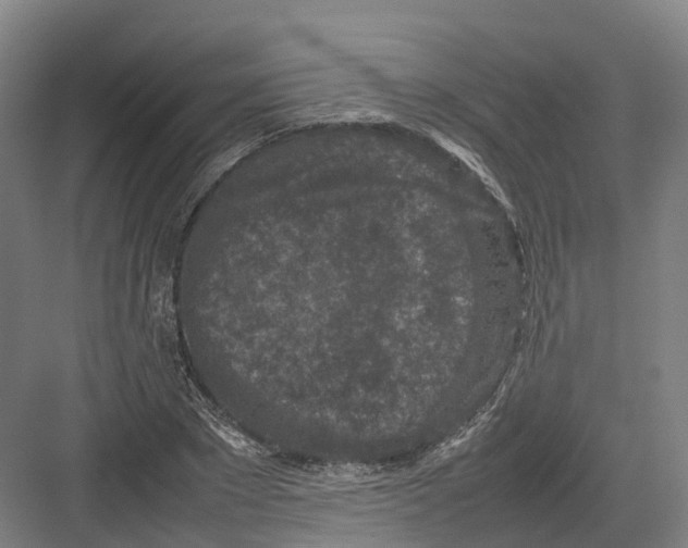 X0000082150881200702162206