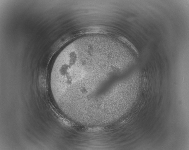 X0000082150882200702162206