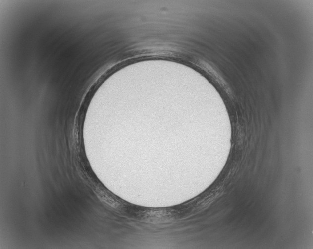 X0000082150883200702162206