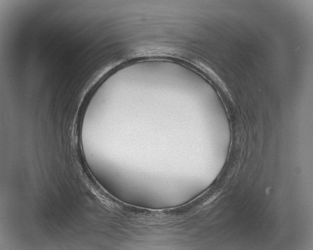 X0000082150885200702162206