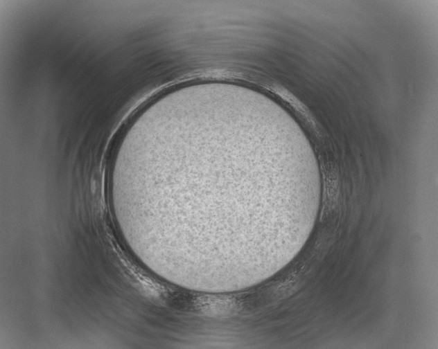 X0000082150886200702162206