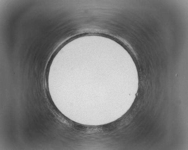 X0000082150887200702162206