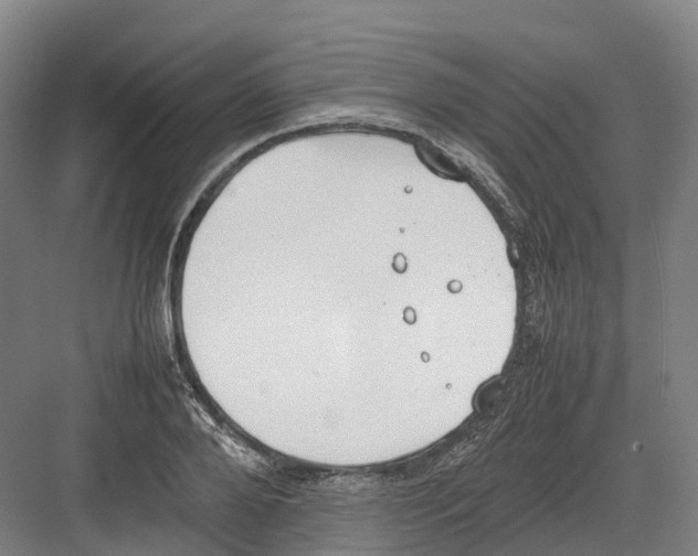 X0000082150888200702162206