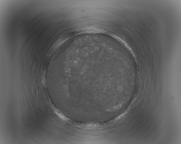 X0000082150889200702162206