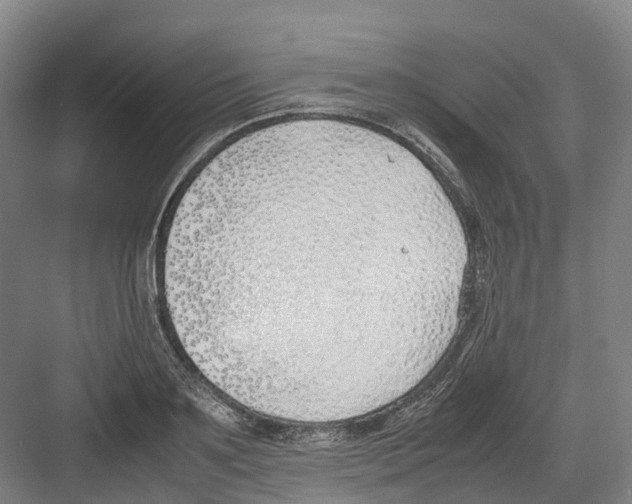 X0000082150891200702162206