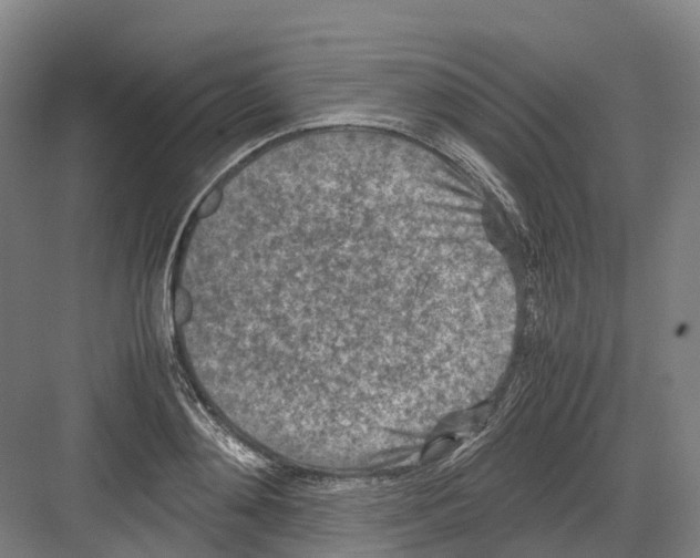 X0000082150892200702162206