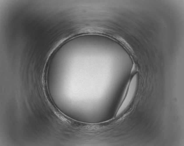 X0000082150893200702162205