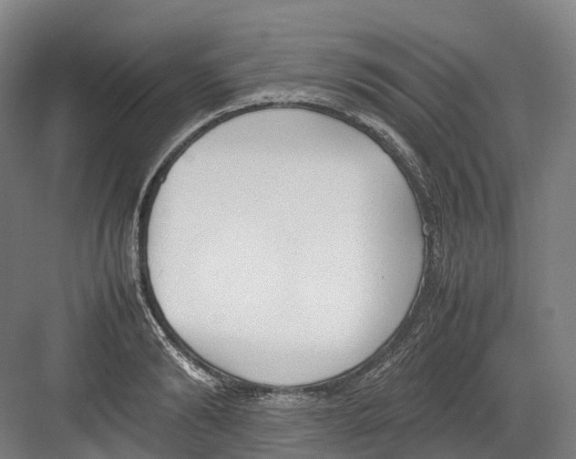 X0000082150894200702162205