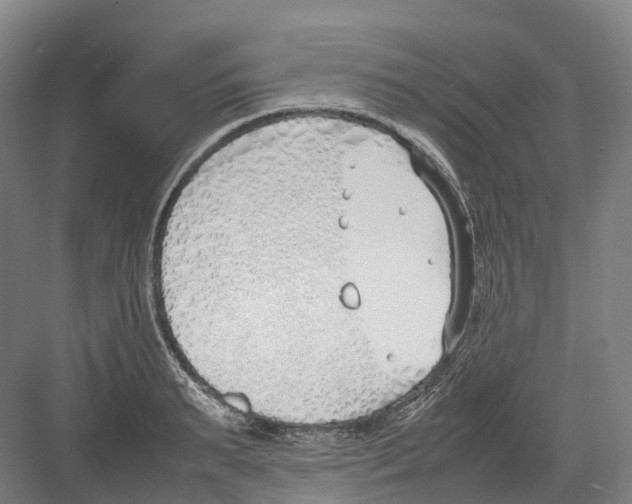 X0000082150895200702162205