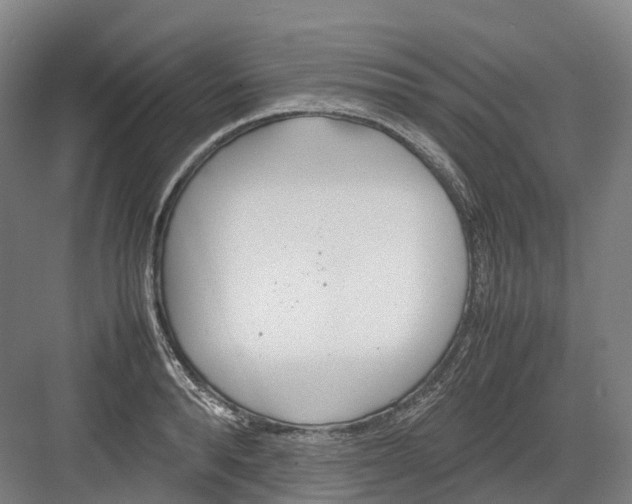 X0000082150896200702162205