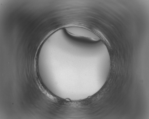 X0000082150900200702162205